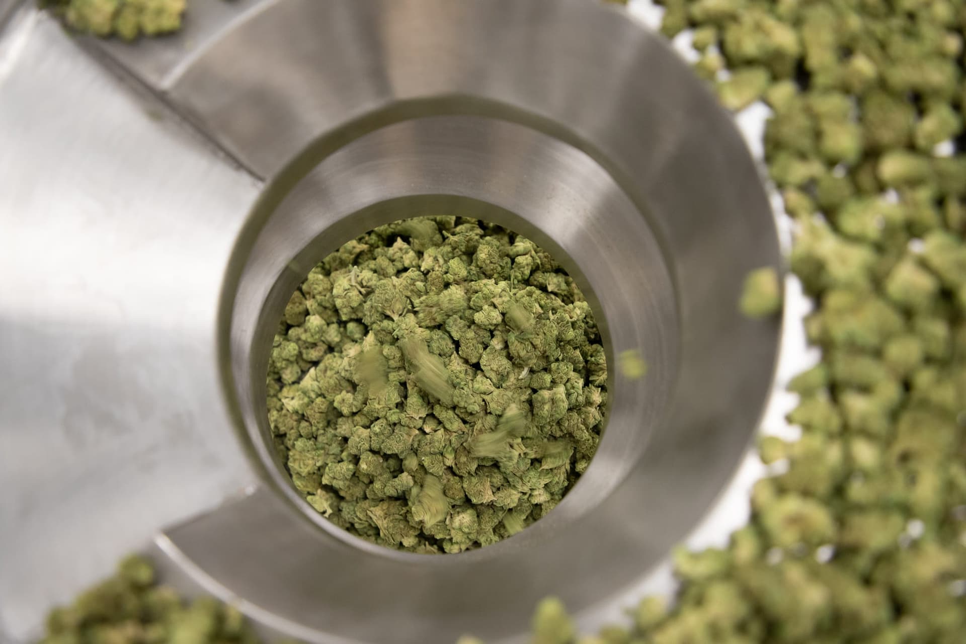 How Aphria is fighting for more market share marketing VP Q&A - flower solei