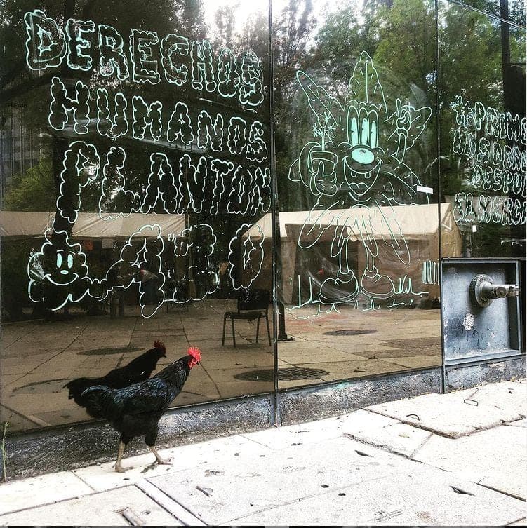 Mexico's cannabis legalization process becomes literal circus - Hash rooster
