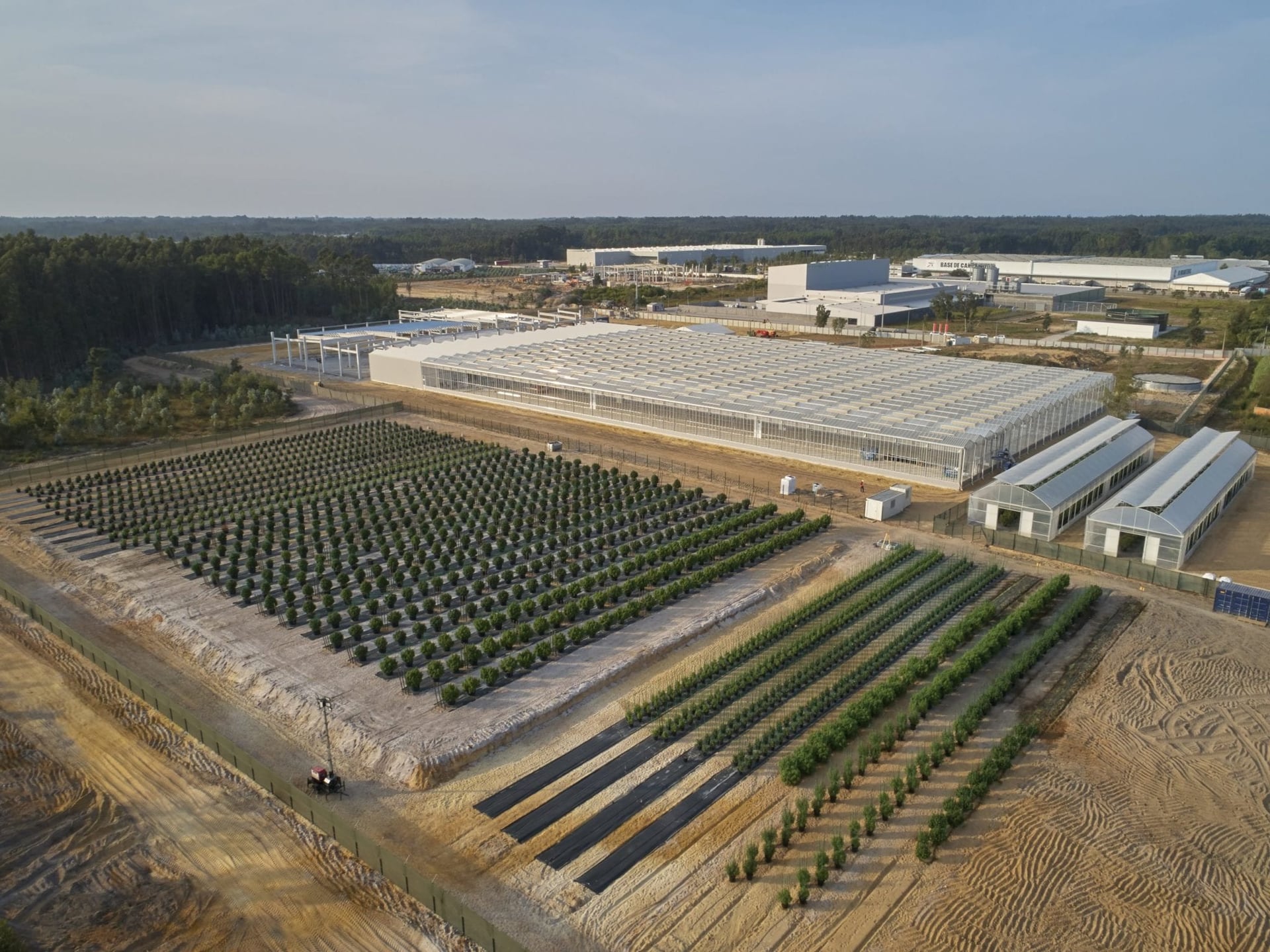 Luxembourg health authorities visit Tilray Medical facilities in Portugal