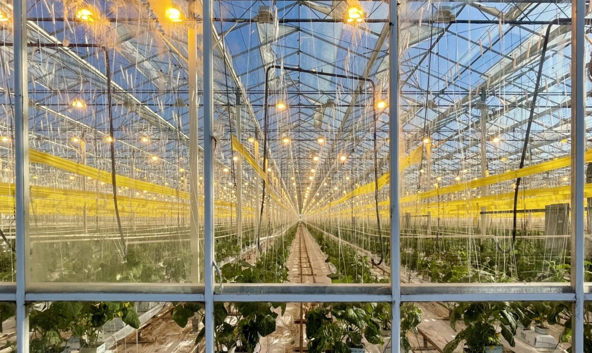 glass house California weed firm Glass House to go public in US$567M deal