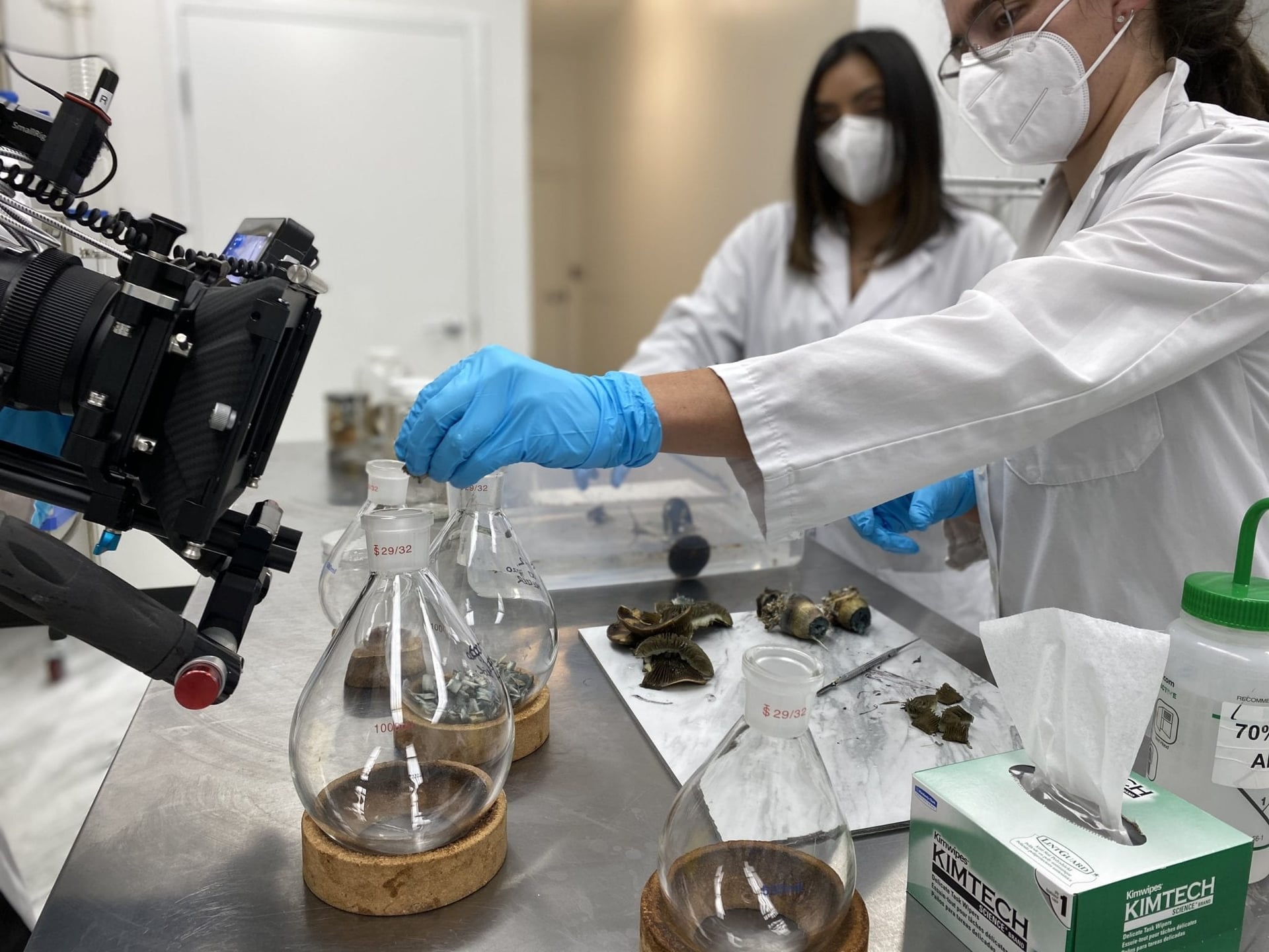 Numinus to test natural psilocybin safety with Phase 1 trial