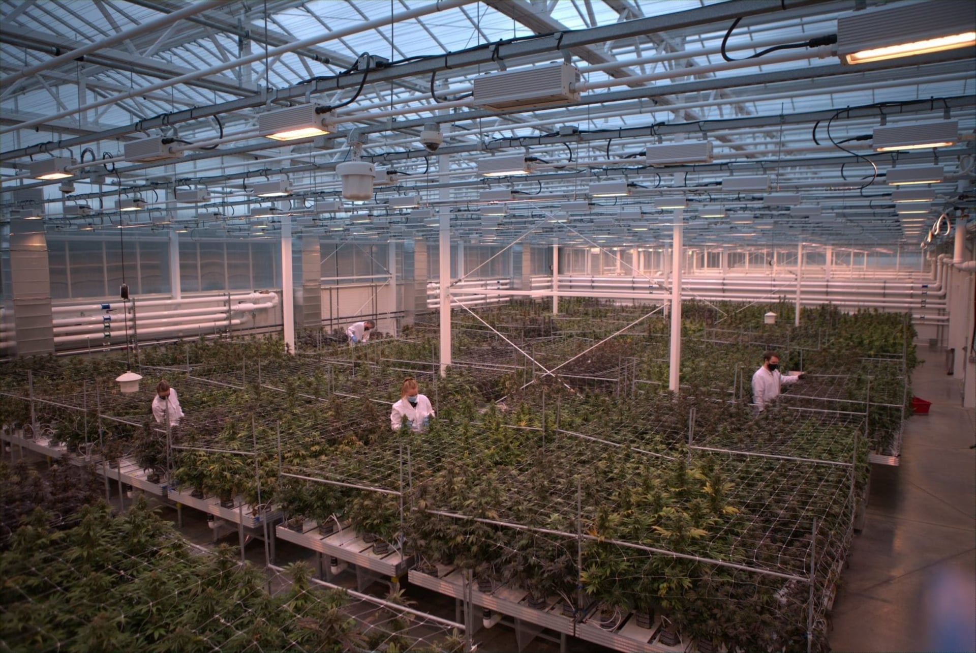 Aurora stock falls amid more large losses and cost cuts