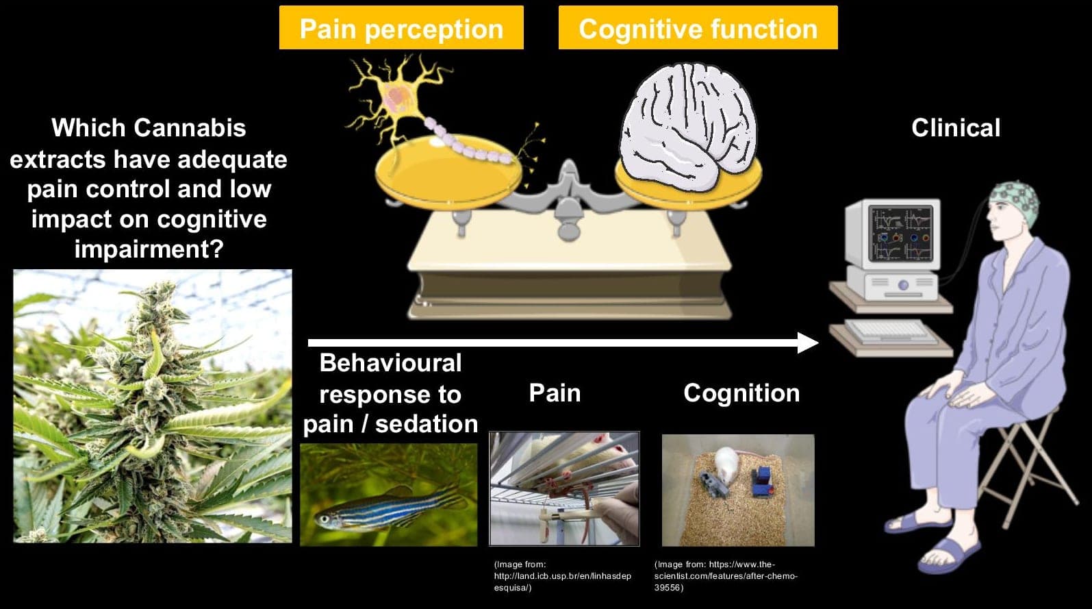 Research graphic