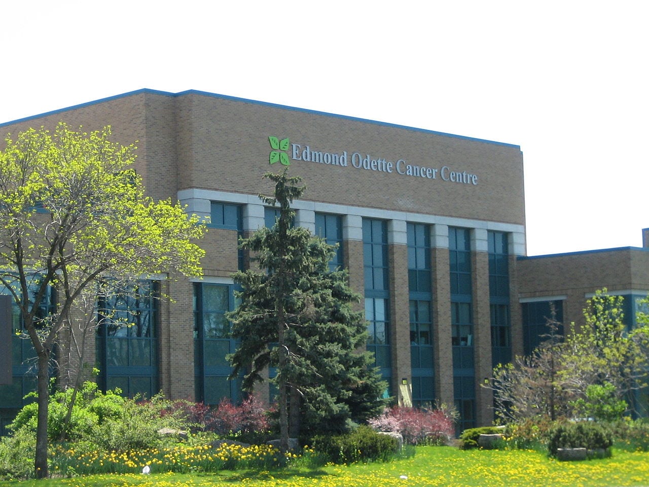 Sunnybrook's medical cannabis program could pave way for better patient access in Canada
