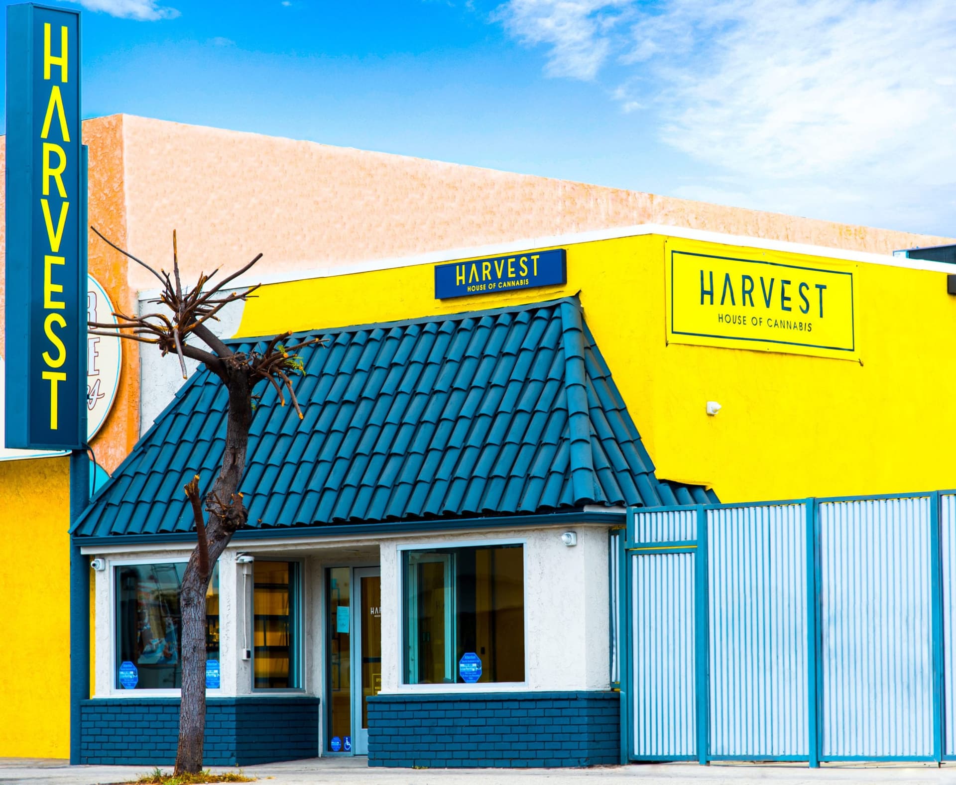 Harvest deal to test Trulieve's industry-leading profits
