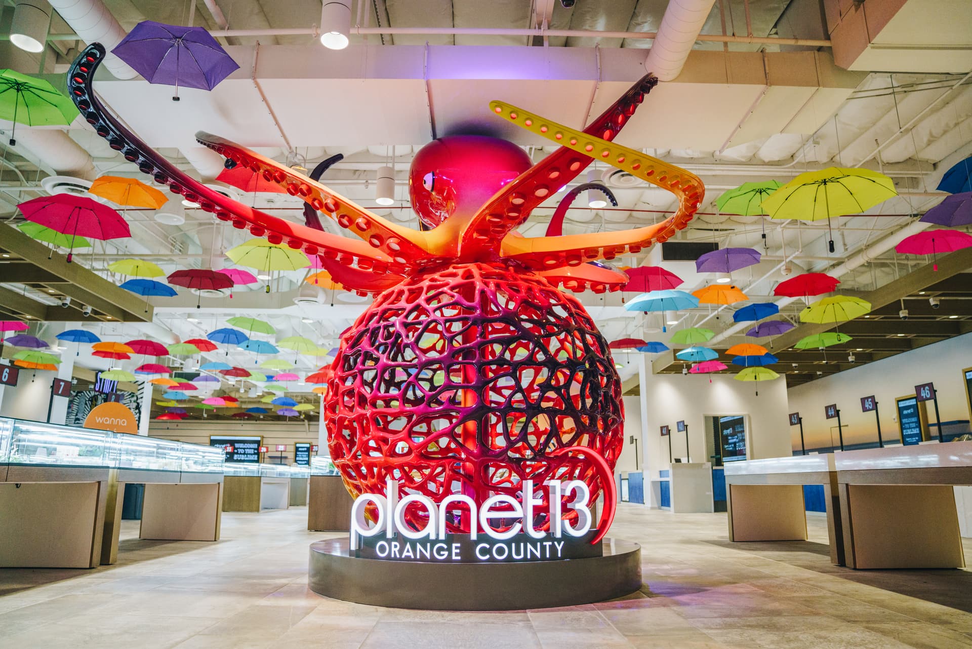 Inside Planet 13 Orange County is a large welcoming octopus