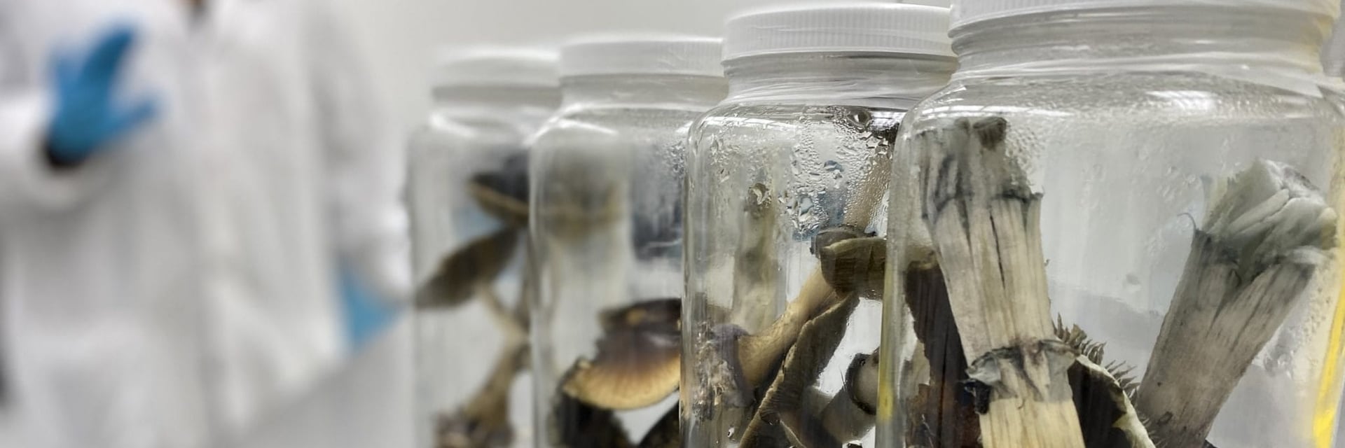 Heads of major health regulators are acknowledging the potential of psychedelic medicine. Photo via Numinus Wellness