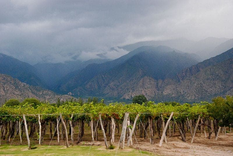 Winery in Cafayate, Argentina