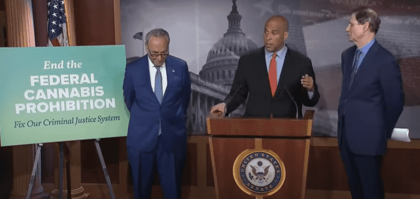 Cannabis decriminalization bill unveiled in US