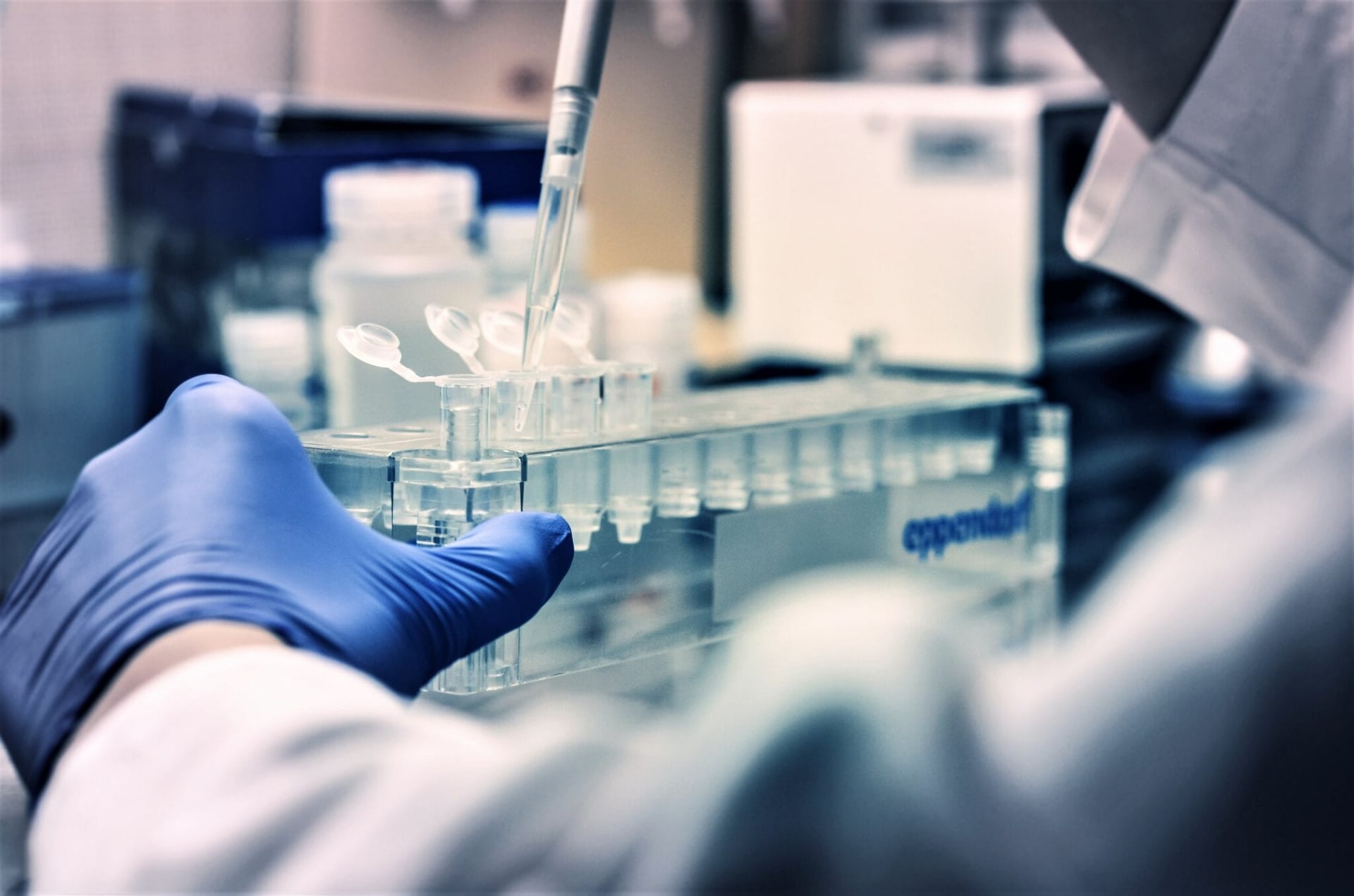 New classification system for cannabis based on the whole genome