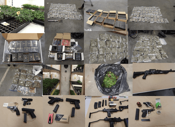 RCMP seize nearly 8,000 clone plants, 5 guns from illicit operation in Langley