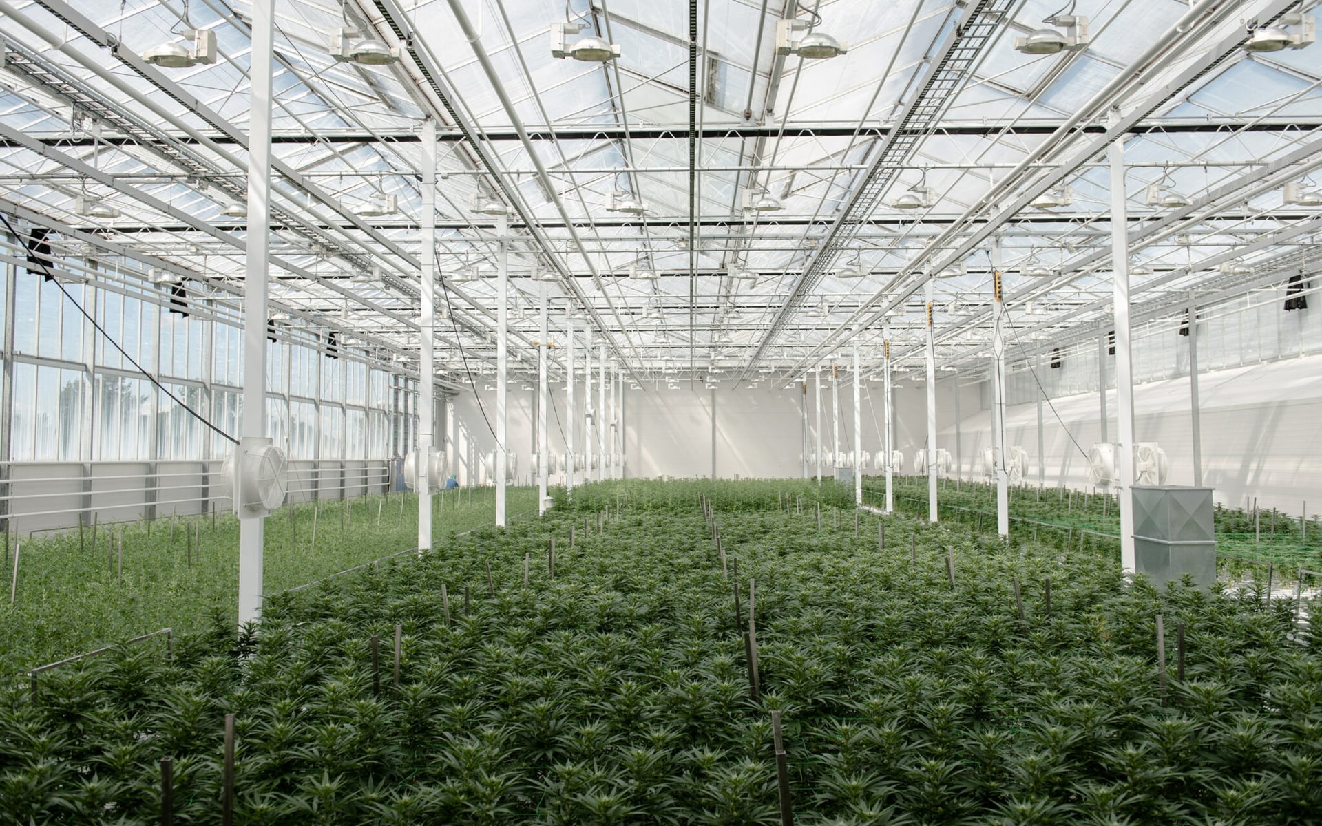 Aurora delivers first shipment for French cannabis pilot program