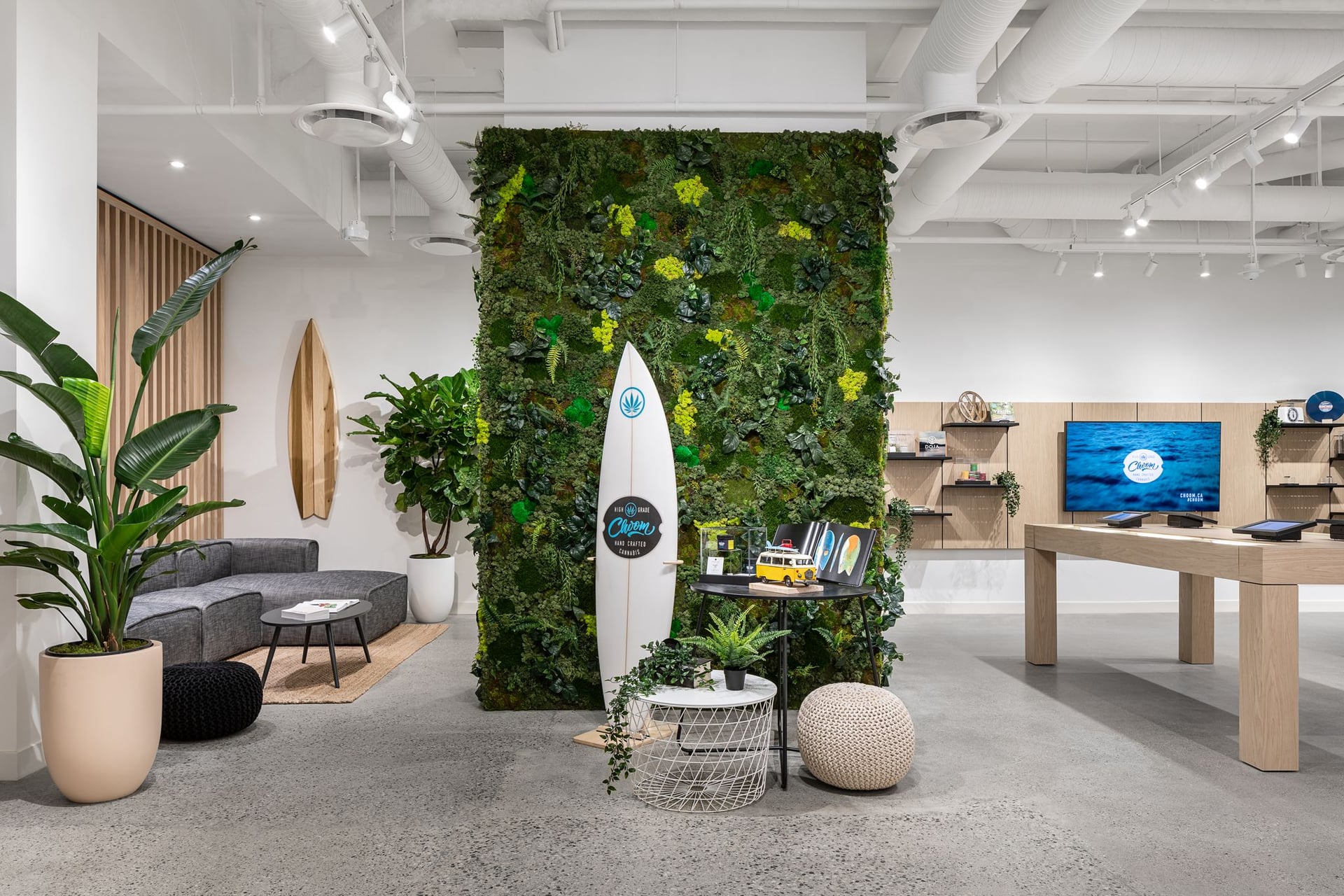 Annual sales up 200% for Choom, but nets $22M loss