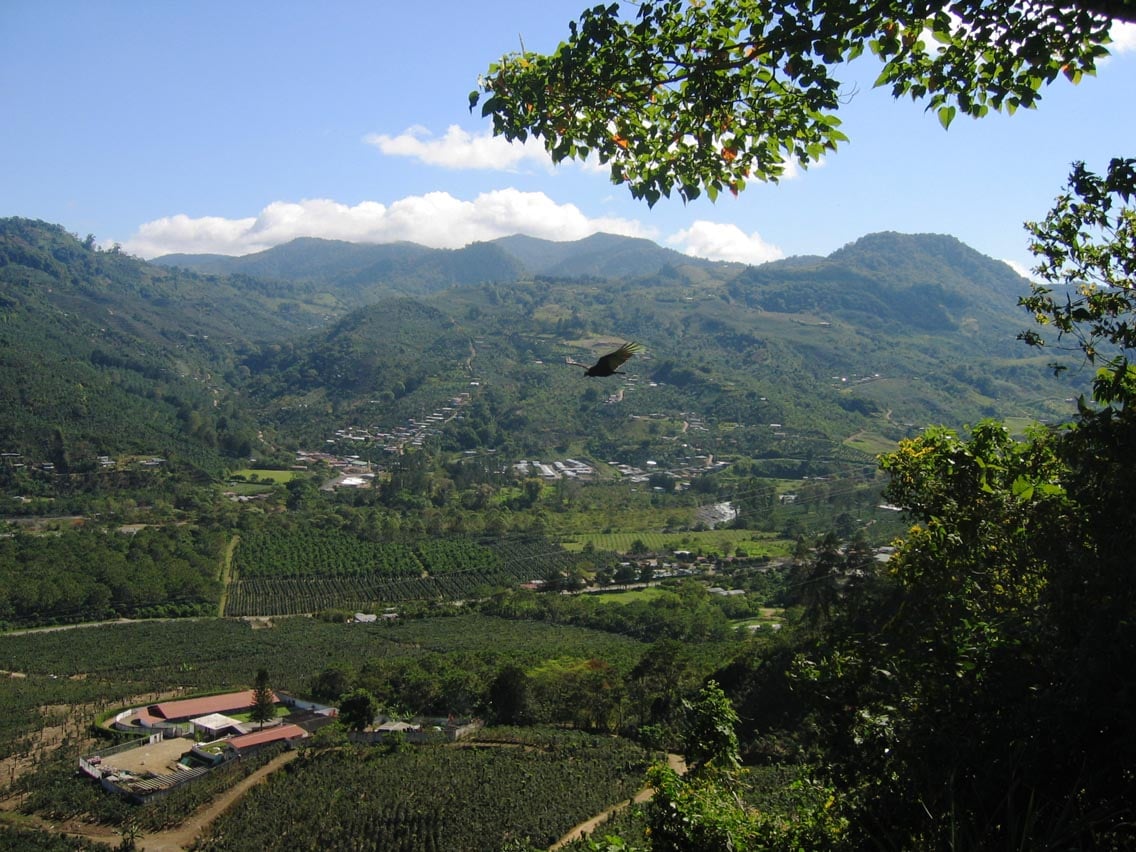 Costa rica legislative assembly votes to legalize cannabis on first discussion