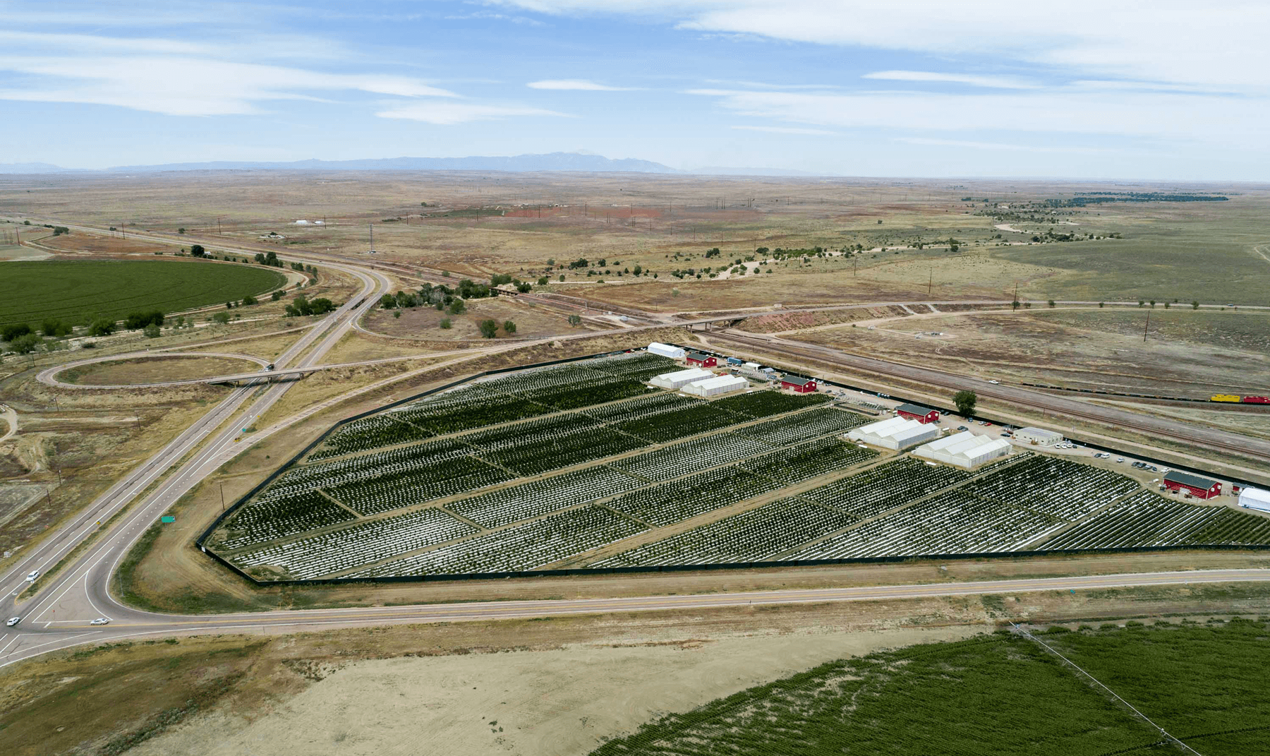 Curaleaf now owns Colorado's biggest outdoor grower