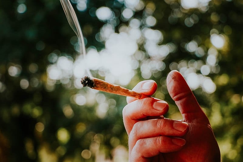 New Brunswick gives illicit weed failing grades on potency and contaminants