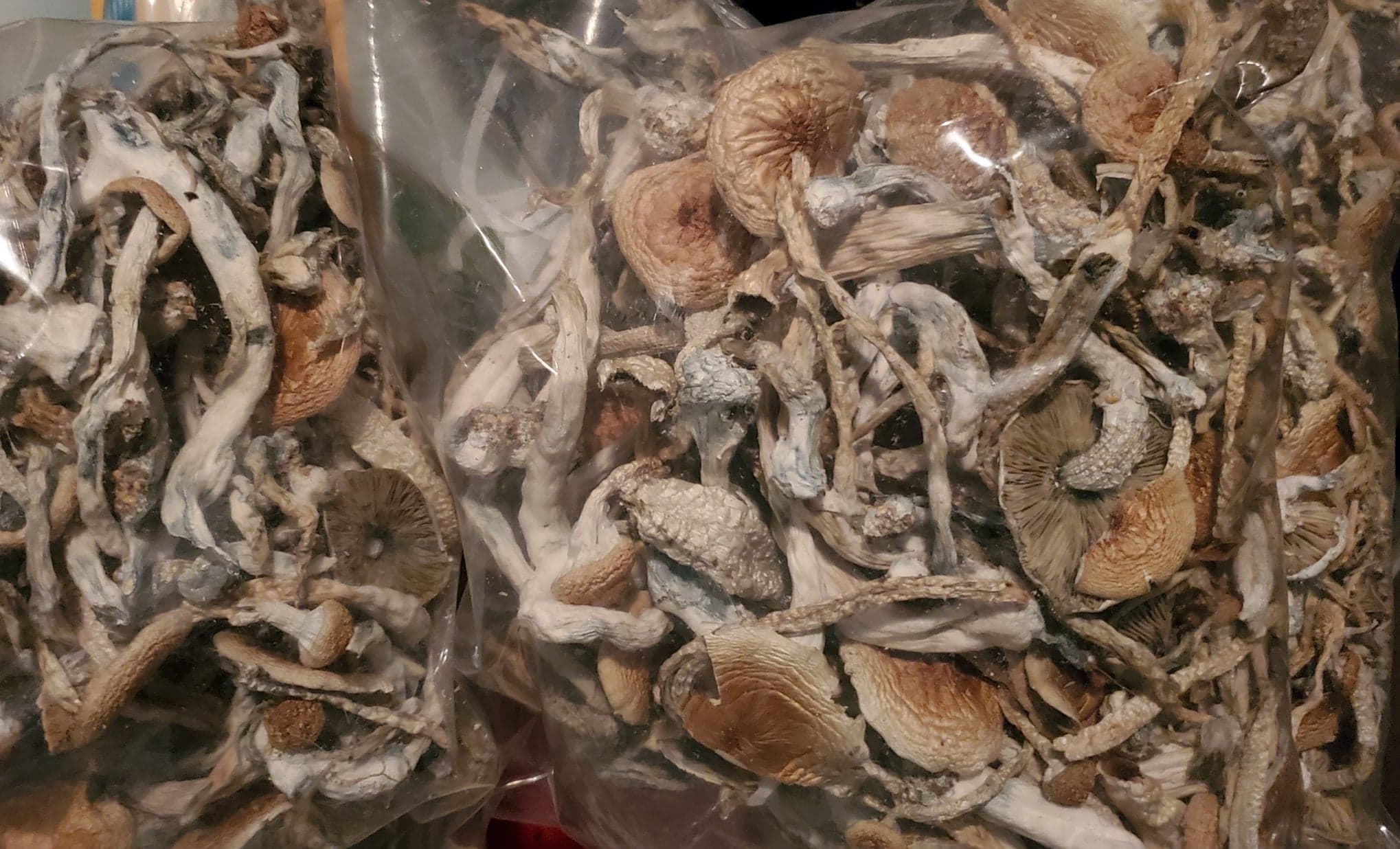 Psilocybin more efficient for rumination than common antidepressant: study