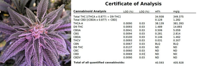 CannabCo Pharmaceutical Corp--CannabCo Reveals 41- Odourless Can