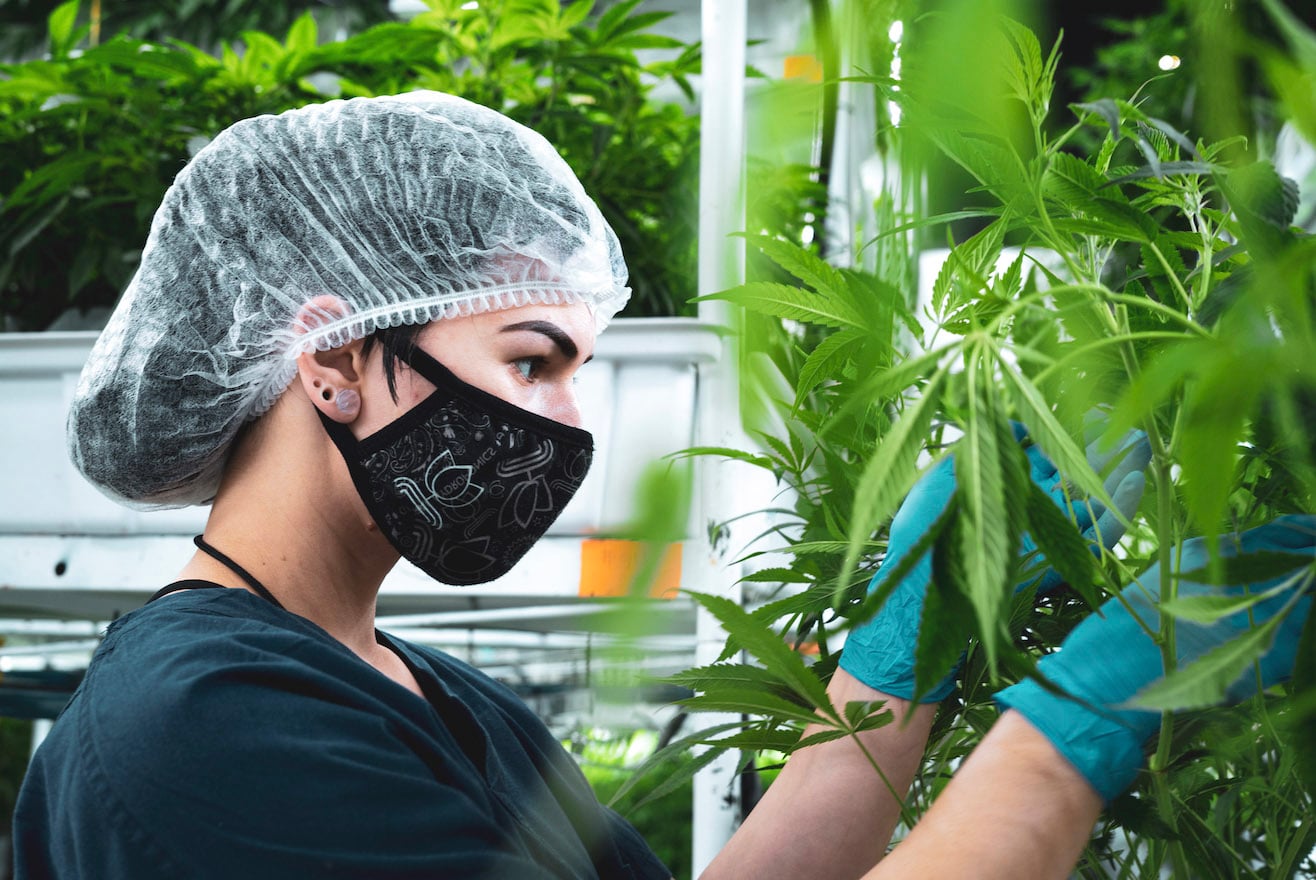 Jushy lowers annual revenue guidance
