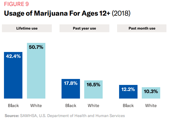ACLU cannabis usage rate