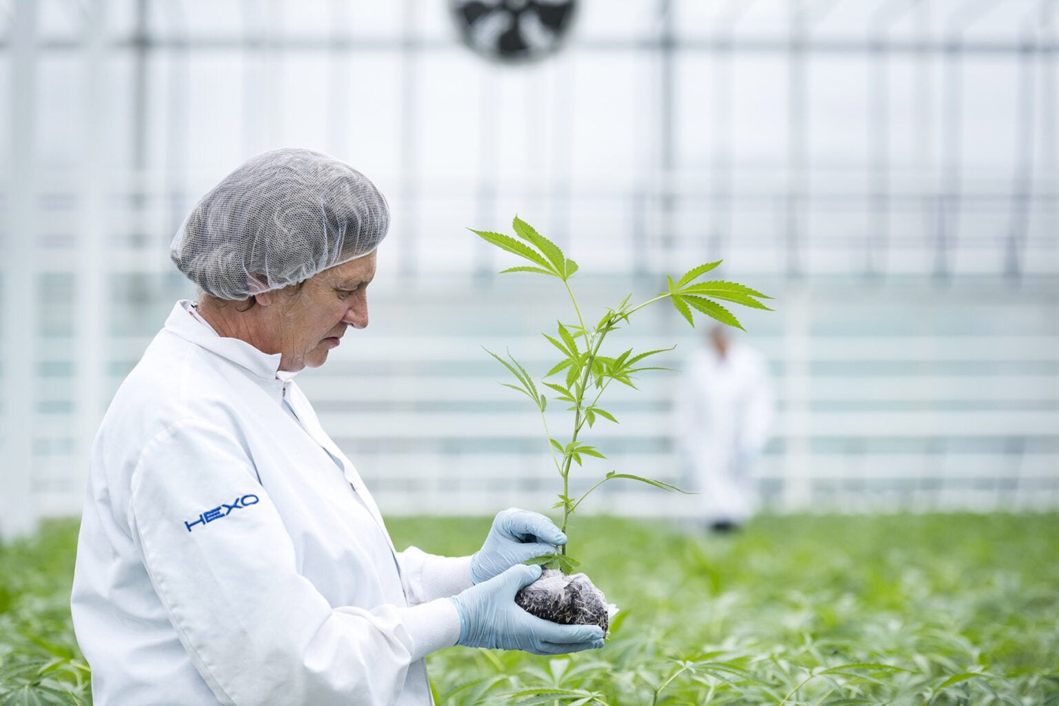 Hexo's sales spike 31% with $117M loss after steep impairments in Q1
