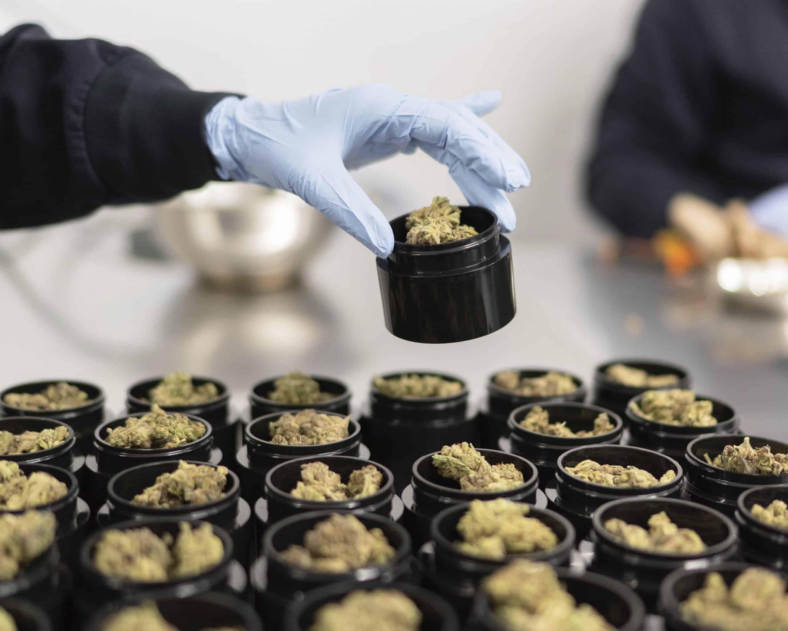 Organigram expands Quebec presence with $36M Laurentian acquisition