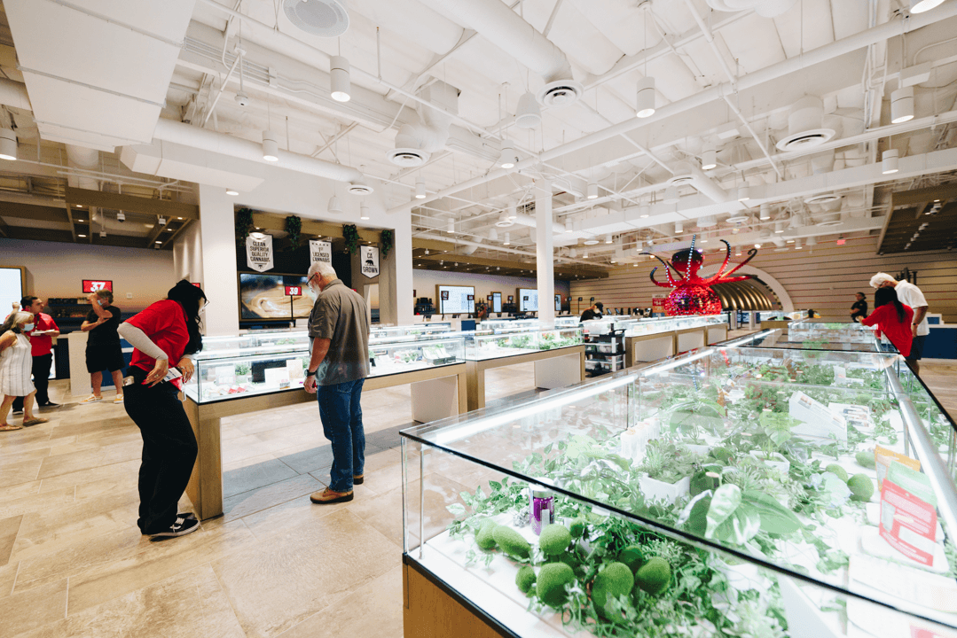 Pot sales return to pre-pandemic levels due to more in-person activities: Headset