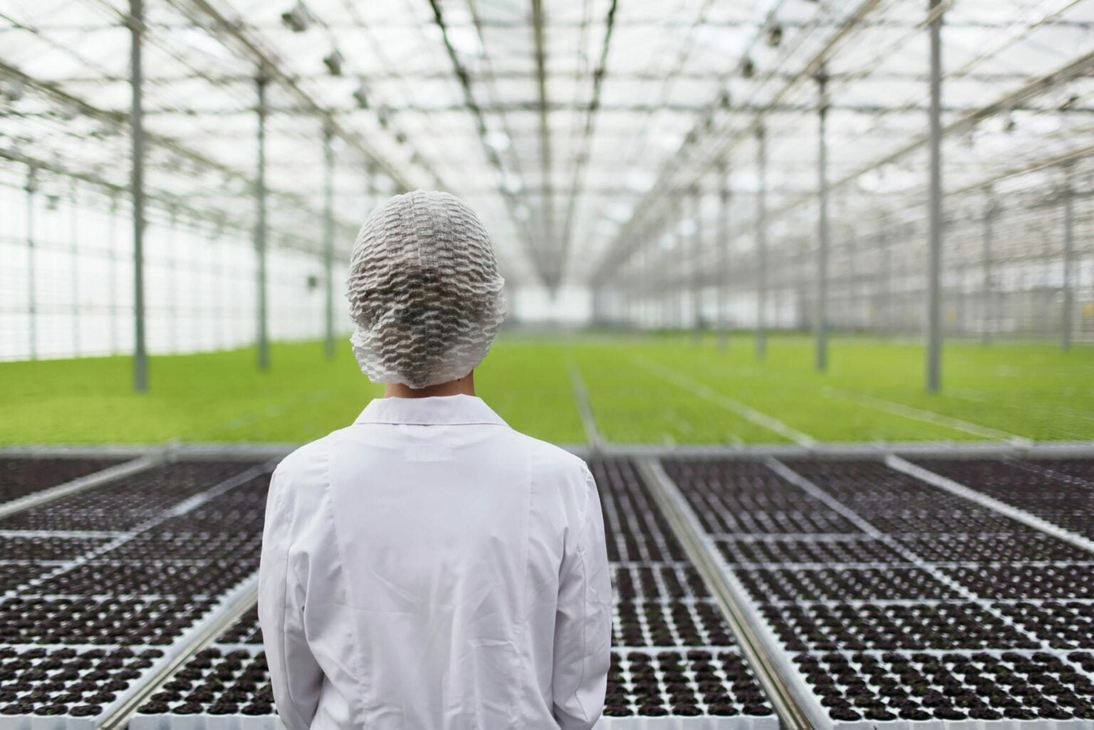 Tilray acquires US distillery while waiting for federal legalization