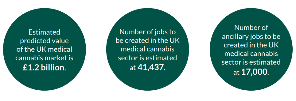 Voltface report key findings UK
