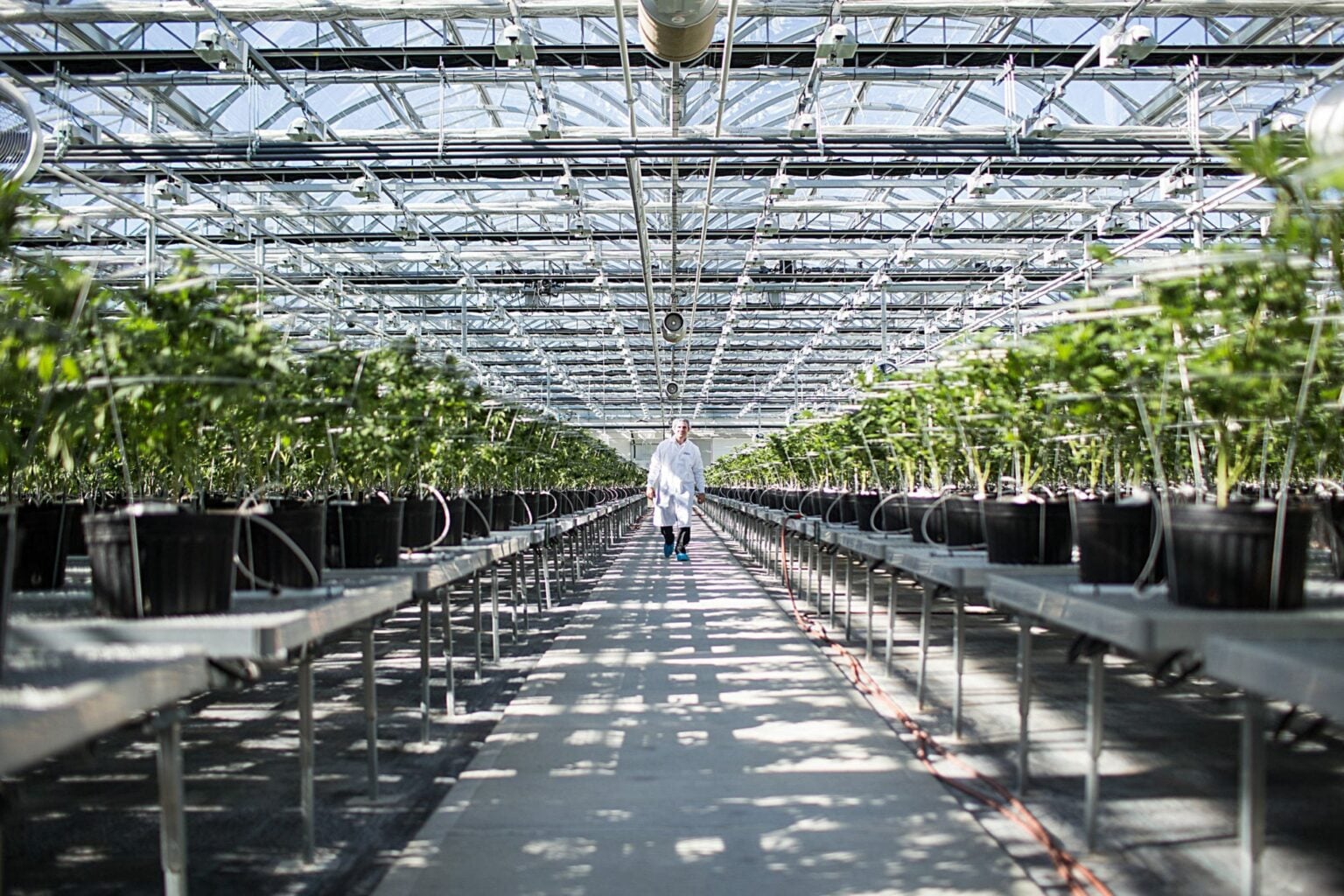 Hexo aims to be cash flow positive in fiscal 2022