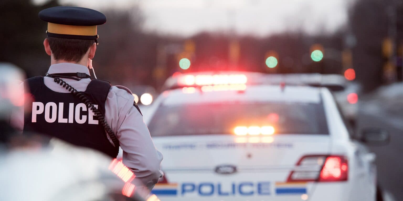 Alberta police find 440 pot plants during traffic stop