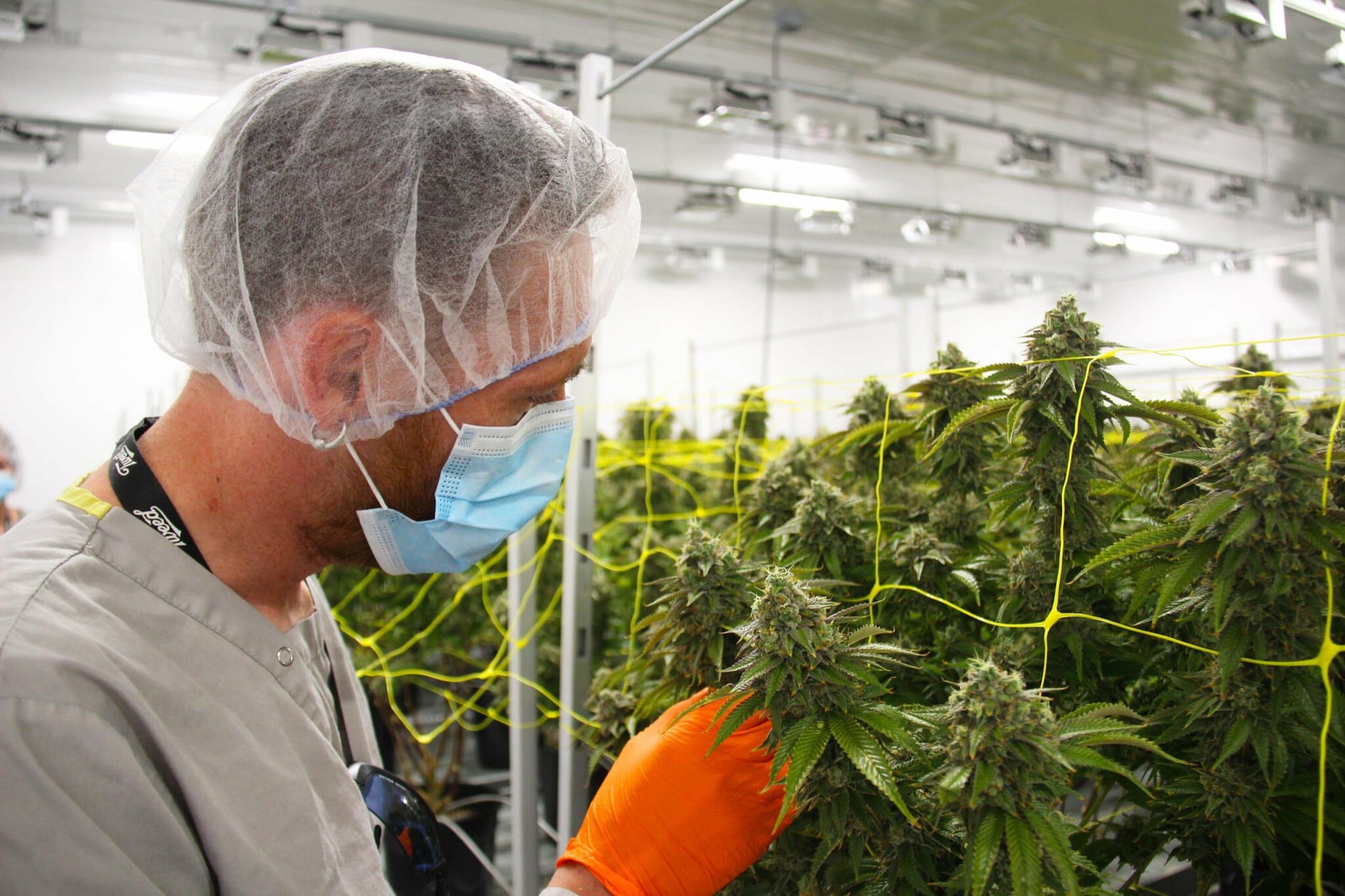 Canopy appoints new executives, adds 4 roles from Constellation