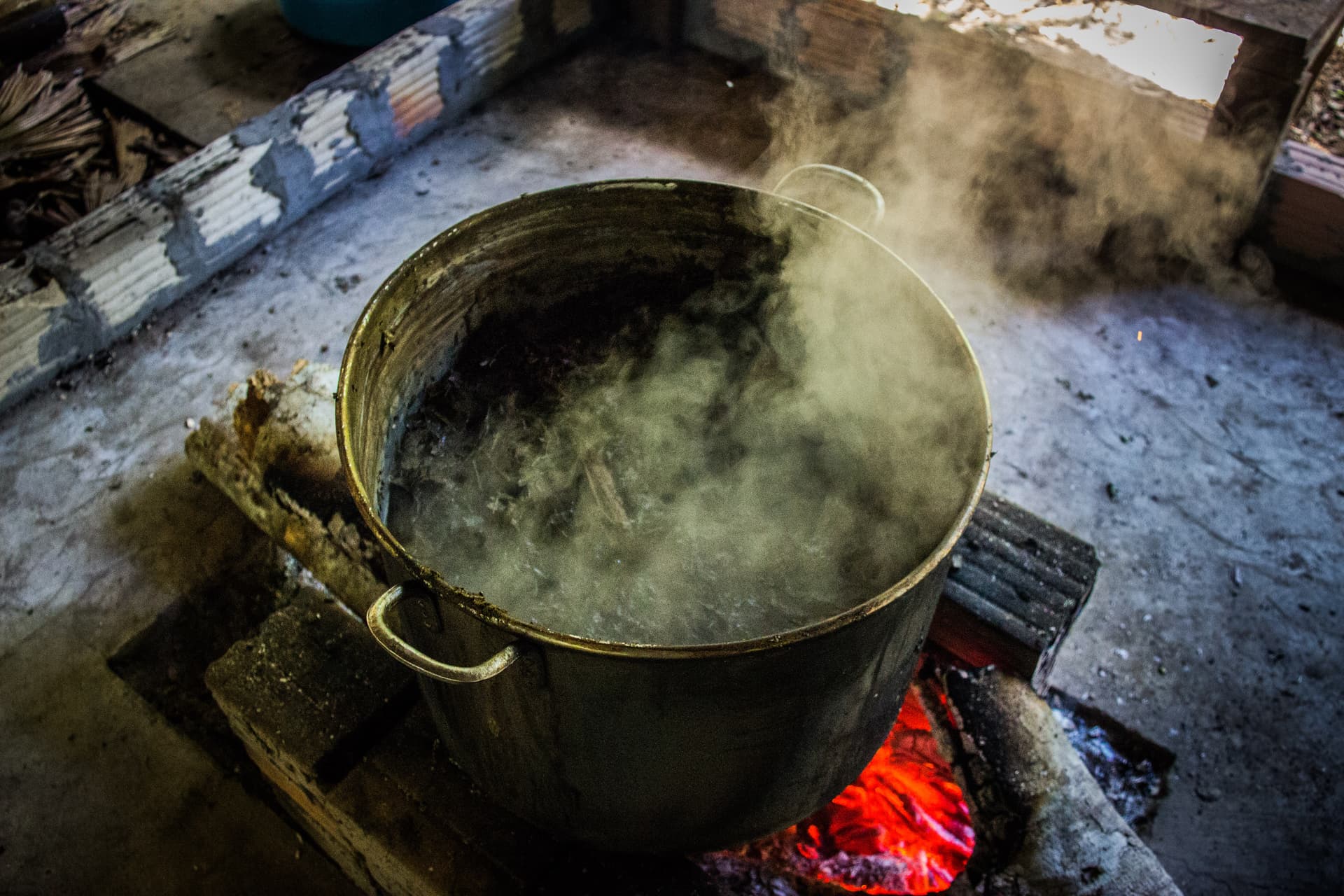 Numinus approved to study two psychedelic plants used in South American Indigenous traditions