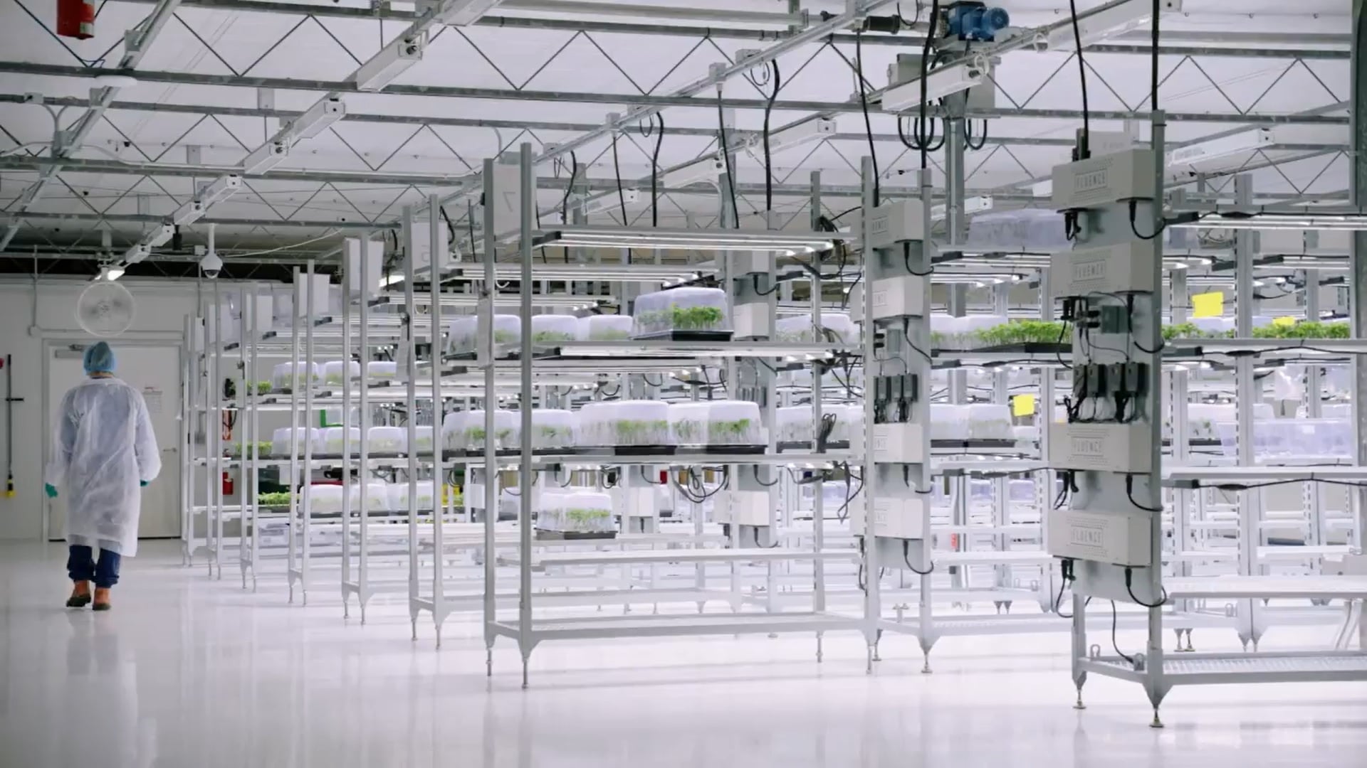 Canopy Growth launches educational video series on how they grow their cannabis2