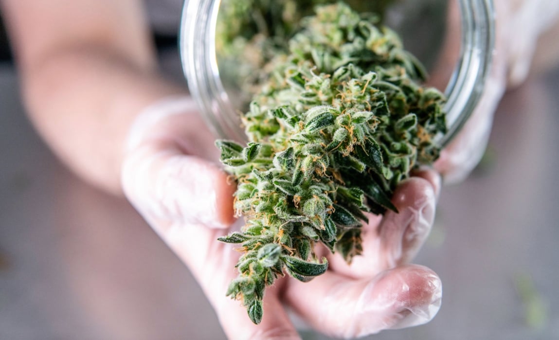 Humble & Fume reports a revenue of $15.1M during Q4