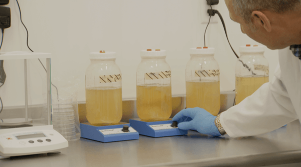 Optimi Health enters supply agreement with Halucenex Life Sciences