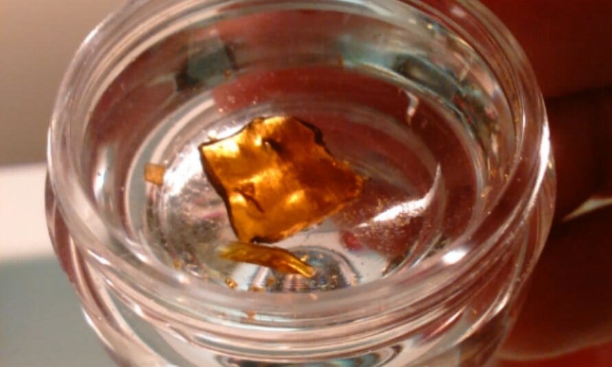 Canadians buy more concentrates than Americans, young men buy the most Headset4