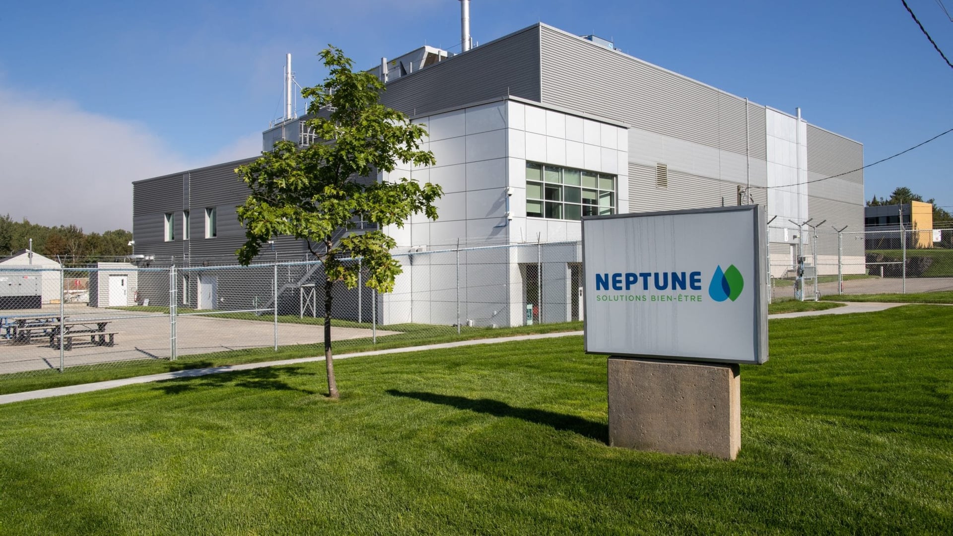 Neptune Wellness set to make gradual exit from cannabis industry