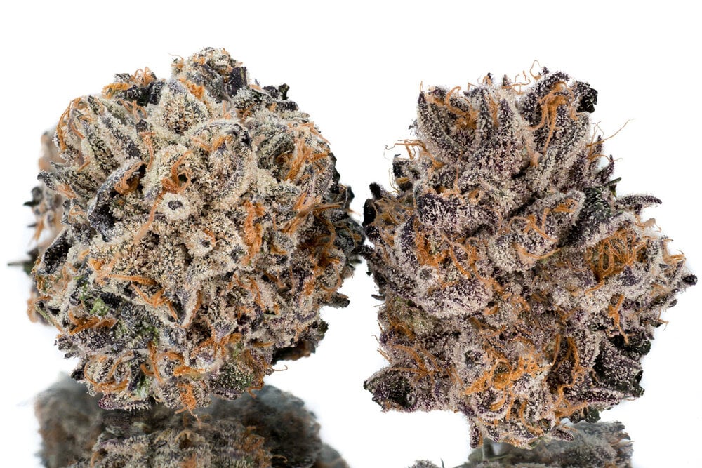 Phinest Cannabis set to move into new super-facility