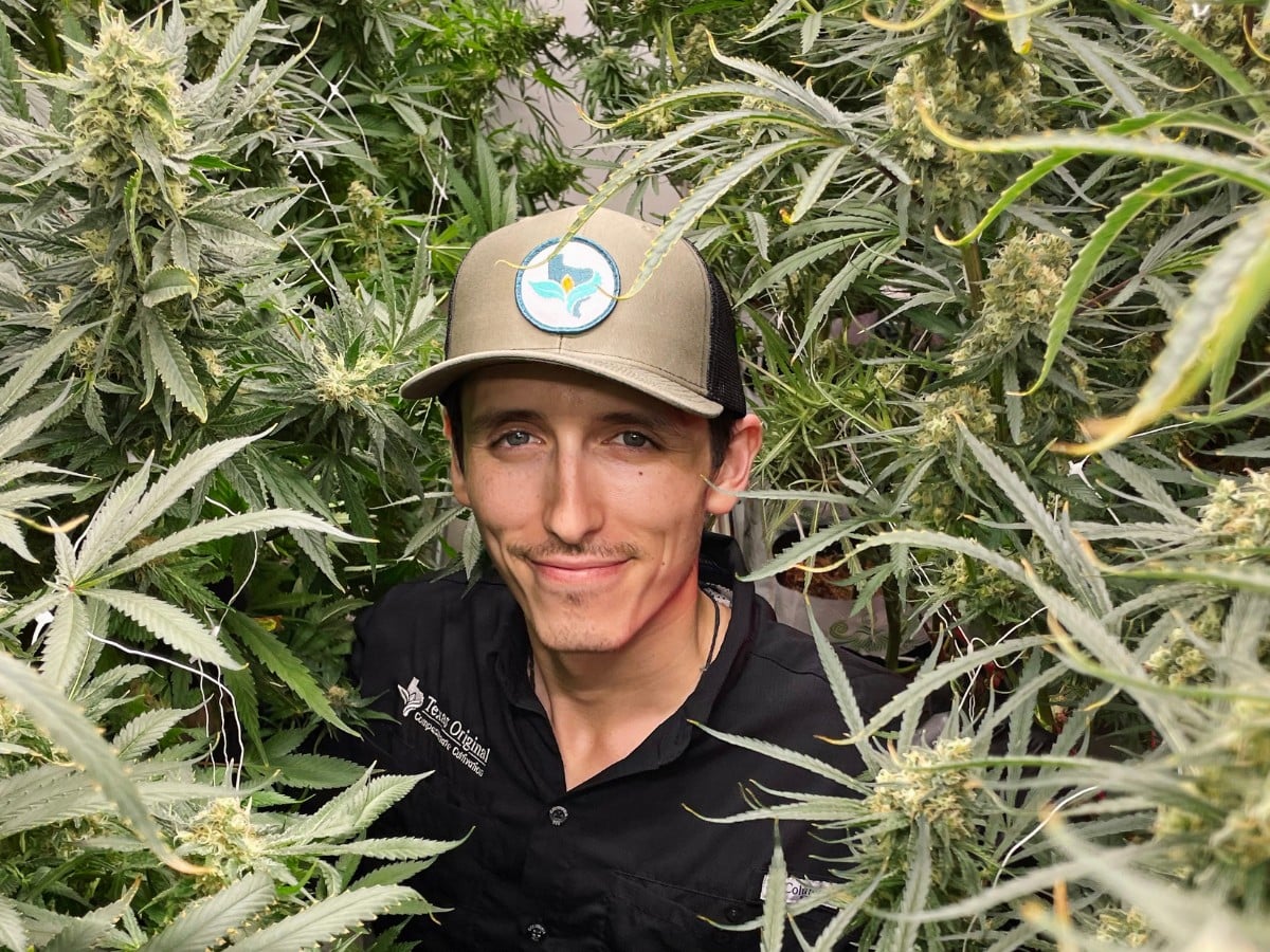 Texas Original reveals data showcasing popularity of medical cannabis