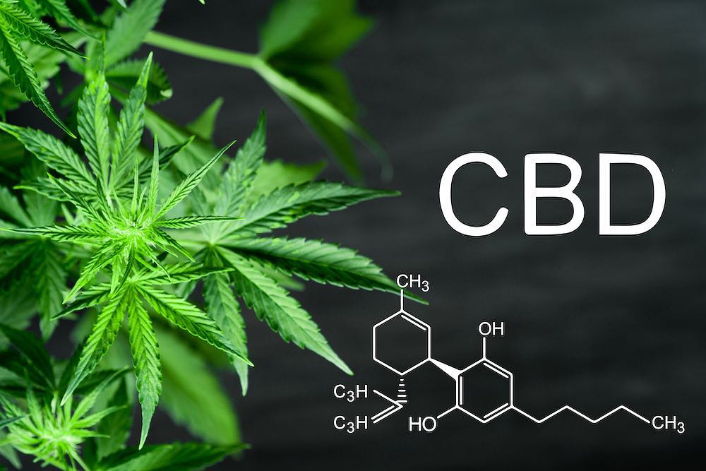 HempMeds Brasil establishes new podcast