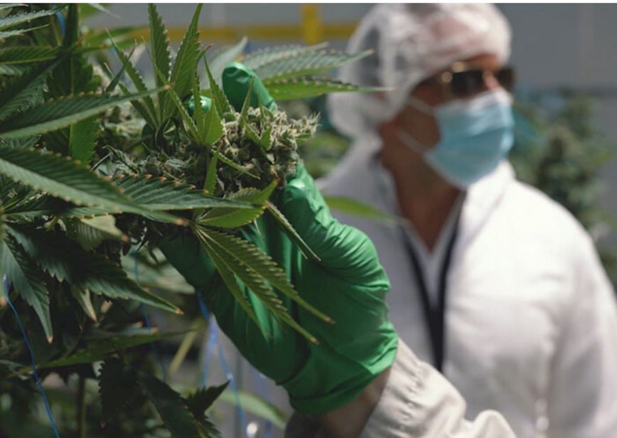 Entourage Health partners with HelloMD to expand resources to patients