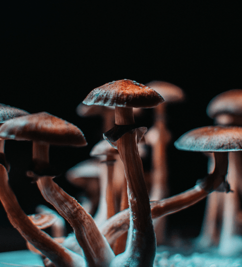 PSYC Corp makes successful psychedelic-focused investments