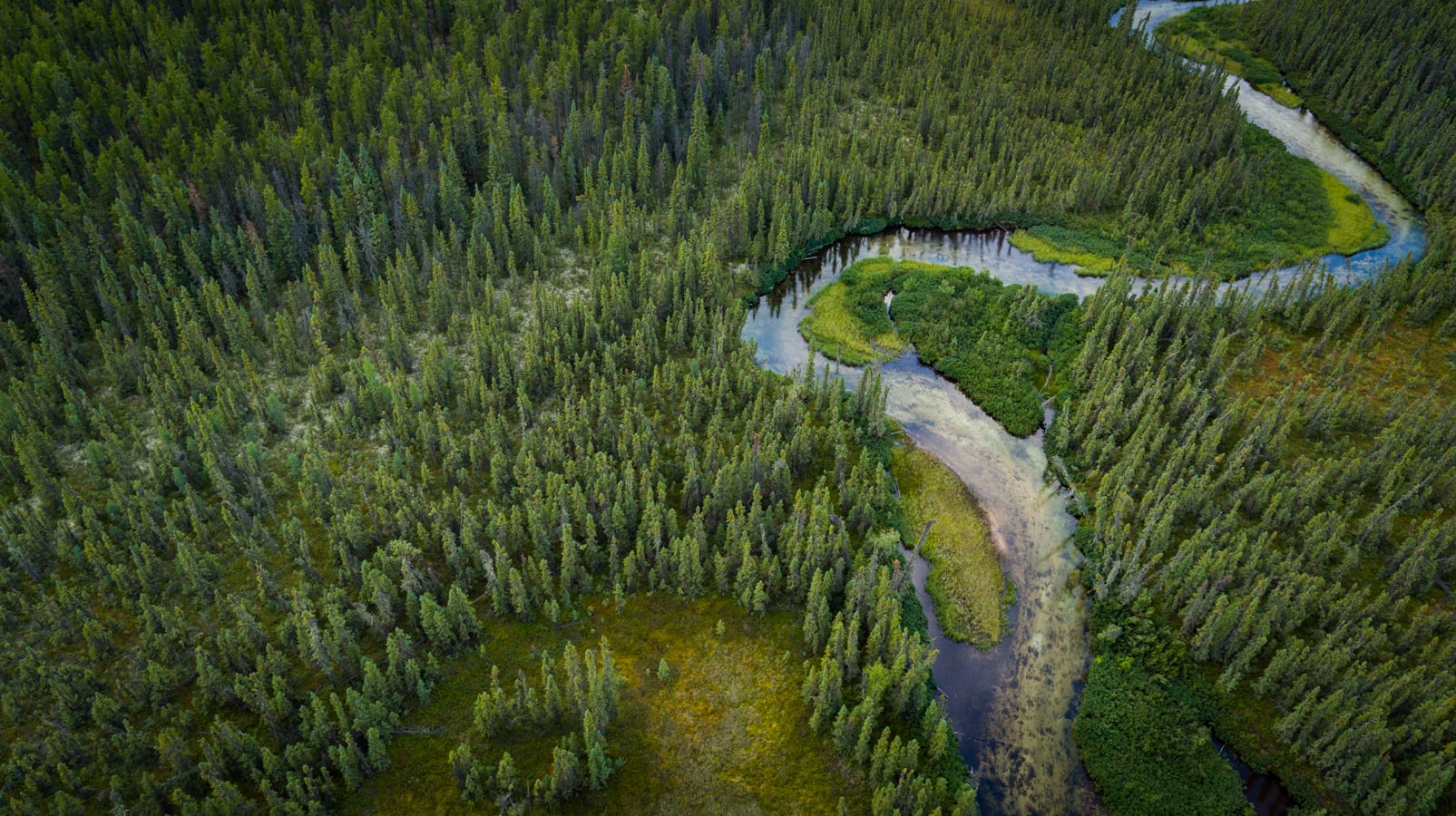 NexGen Energy hits the target with the Athabasca Basin Arrow Deposit