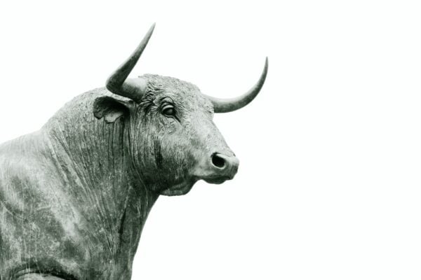 The Mugglehead technology roundup: microcap opportunities edition