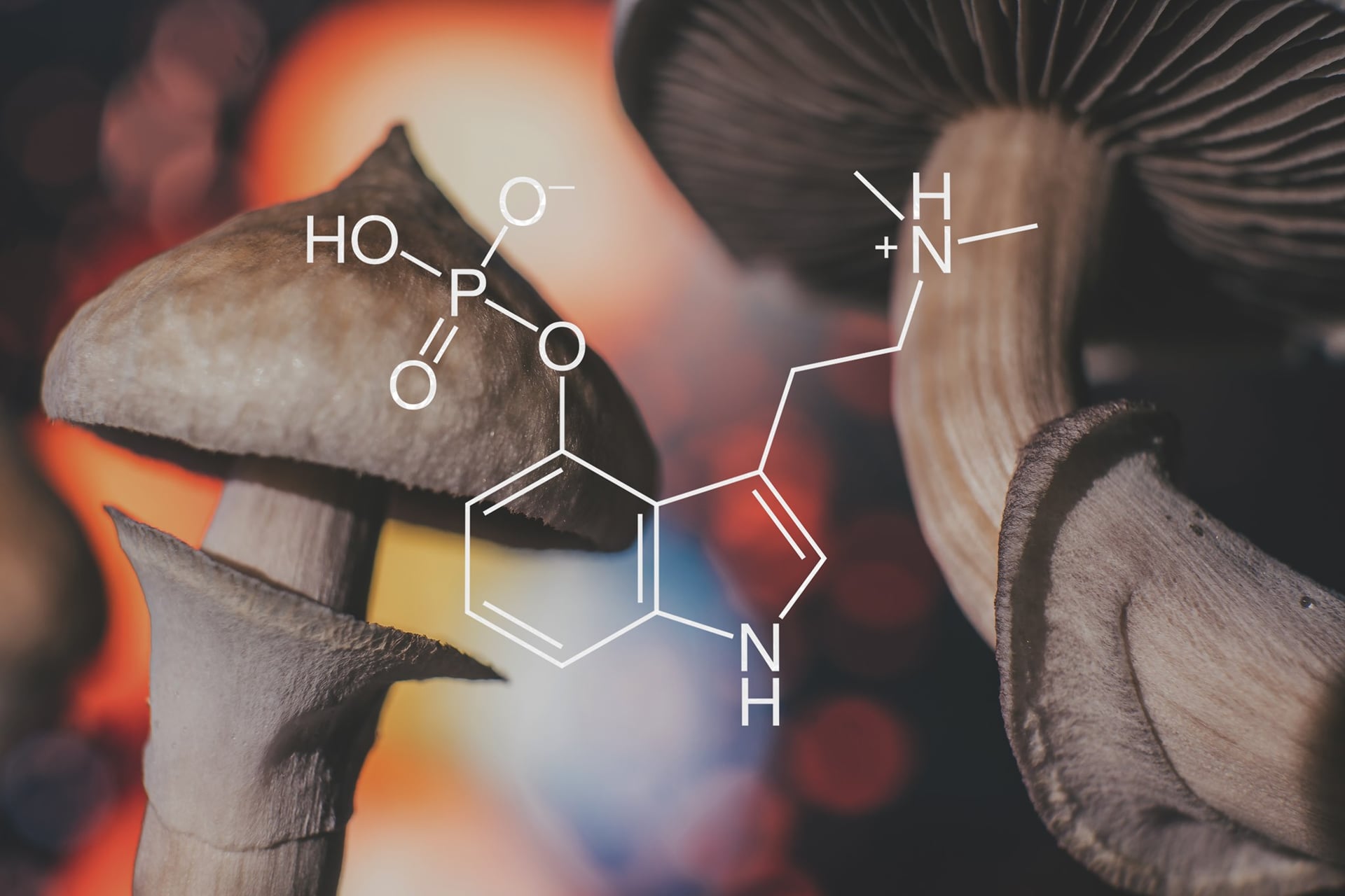 Lobe Sciences partners with iNGENū for new clinical trials in Australia