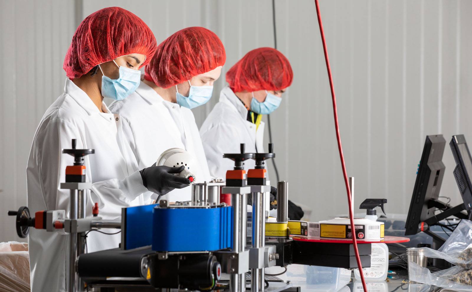Indiva reveals its financial results for Q2