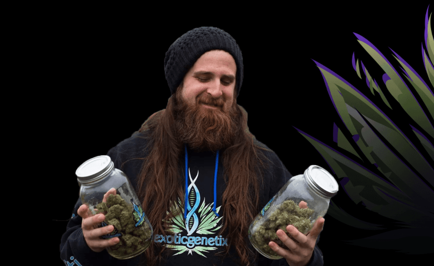 Cannara helps bring Exotic Mike's famous chronic to Canada