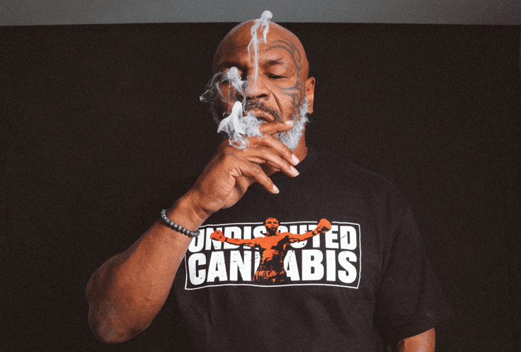 Tyson 2.0 and Verano collaborate to launch Ric Flair Drip cannabis line