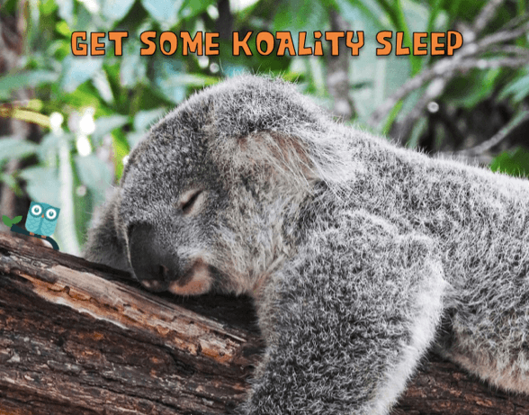 Better sleep quality calls for better data: Yam and Goettling